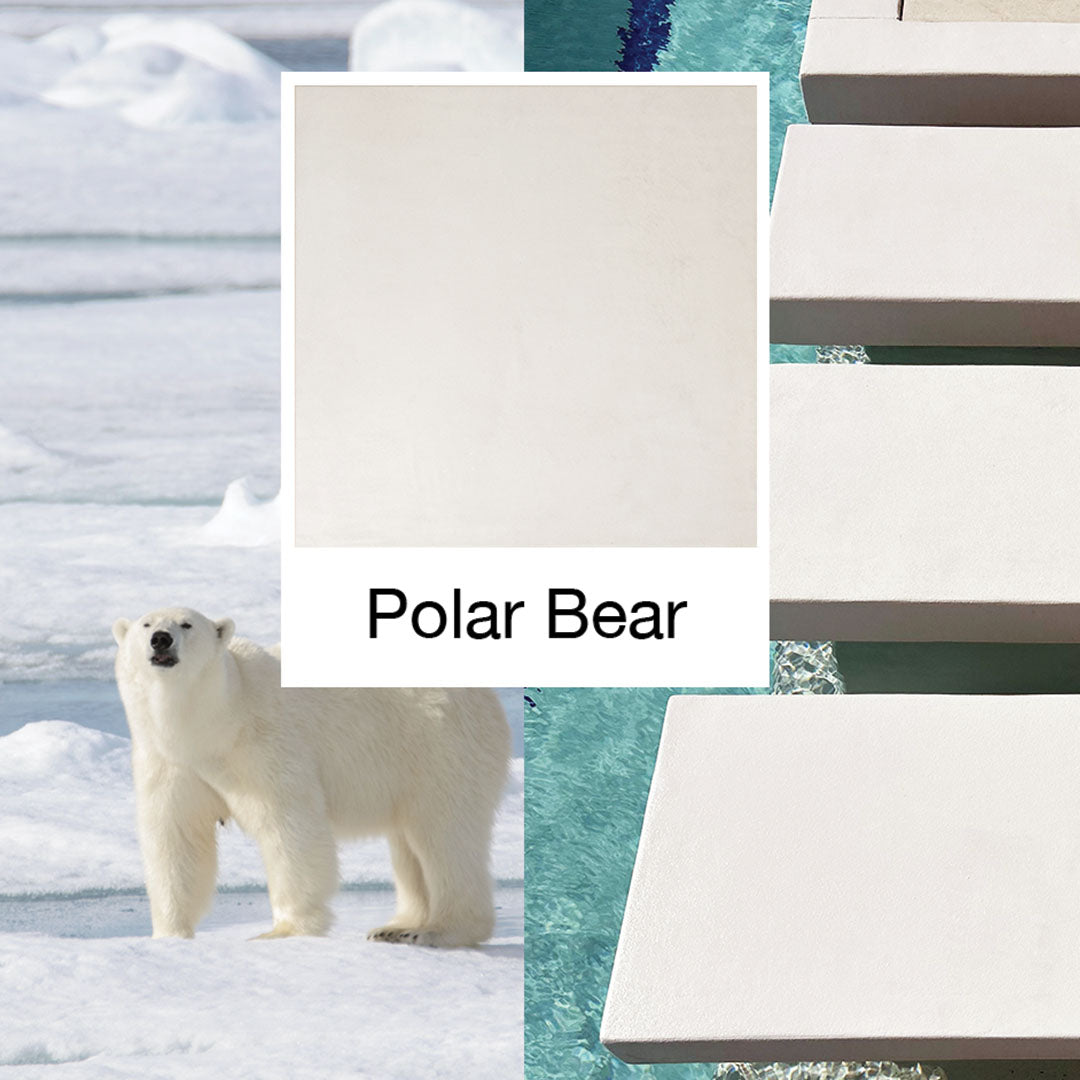 X-Bond Microcement Physical Color Samples